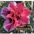 Madamoseille FF 139 - Rosa do Deserto22