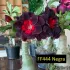 Negra FF 444 - Rosa do deserto